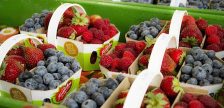 5 recettes modifiées en version plus santé de nos petits fruits du Québec!